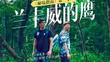 新鲜羊肚菌炖鸡的做法大全集？游戏画面